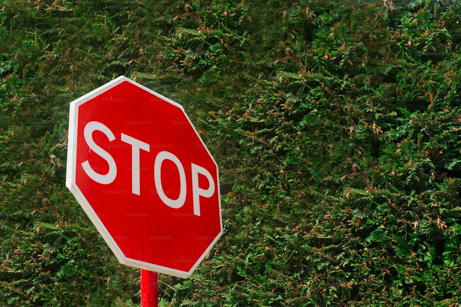 Red stop sign with white text against dense green foliage background