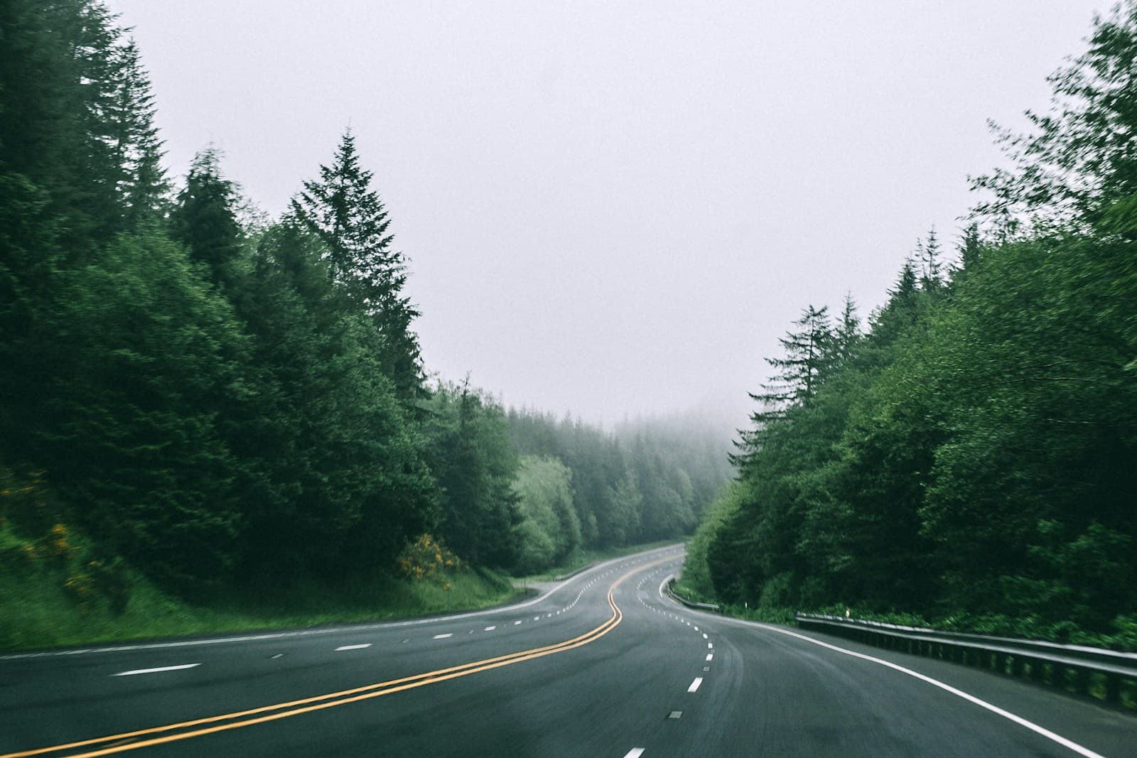 Curved road through misty forest with evergreen trees and overcast sky